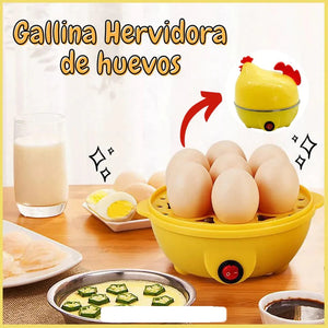 GALLINA HERVIDORA DE HUEVOS